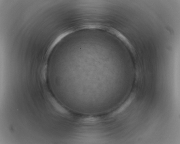X0000114391178200910161247