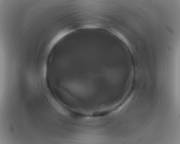 X0000114391179200910161247