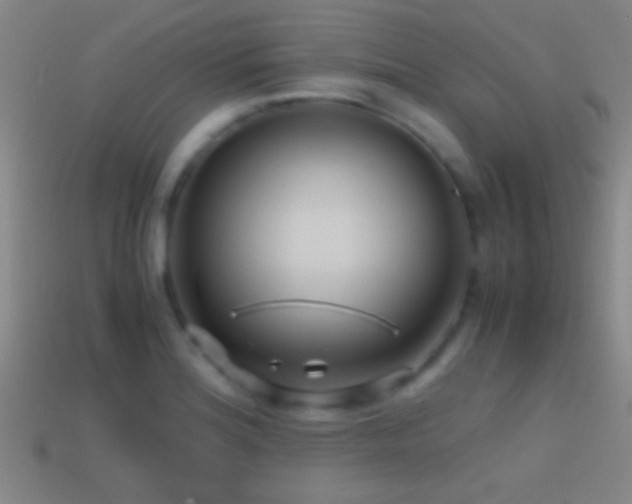 X0000114391180200910161247