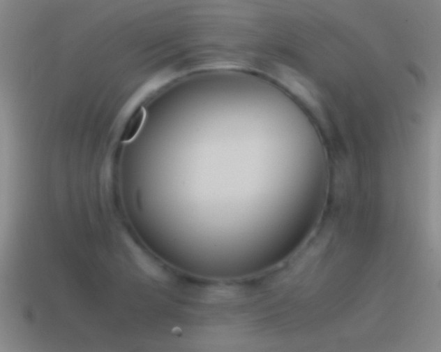 X0000114391181200910161247