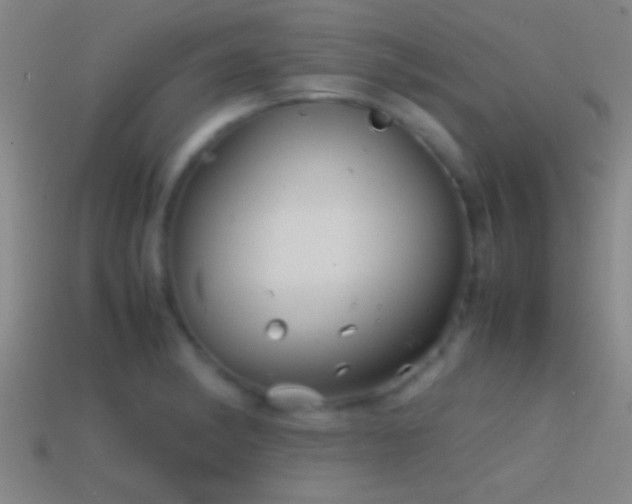 X0000114391182200910161247