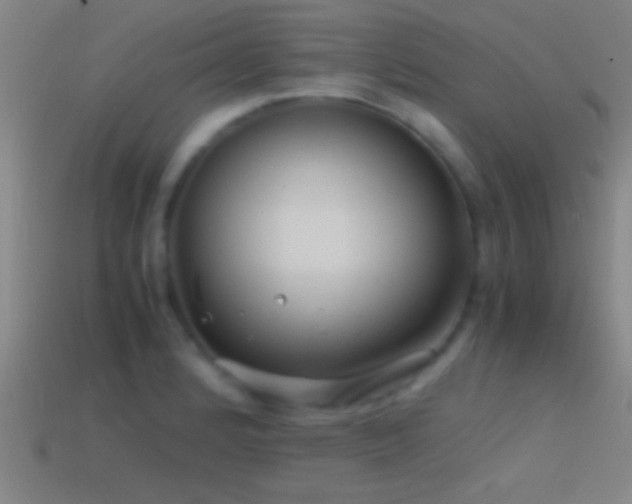 X0000114391184200910161247