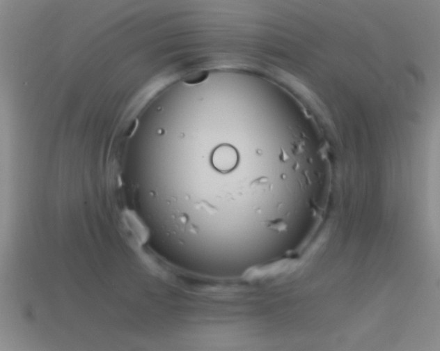X0000114391185200910161247