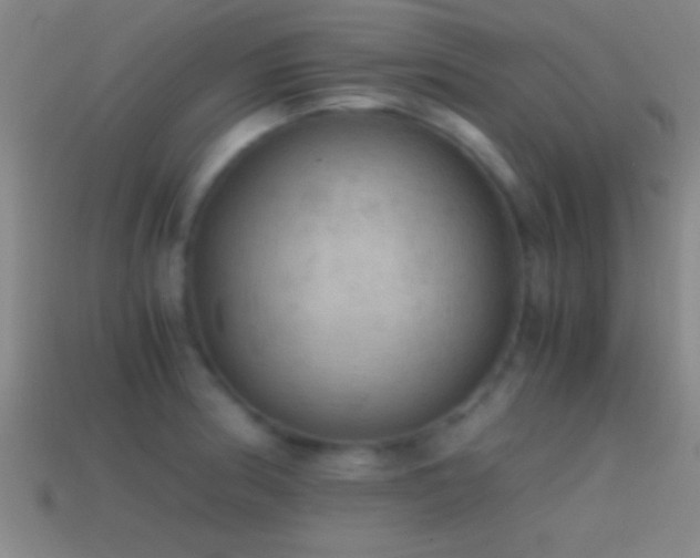 X0000114391186200910161247