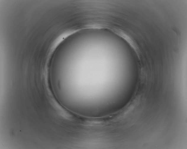 X0000114391187200910161247