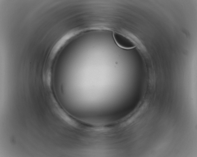 X0000114391188200910161247