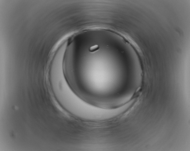 X0000114391189200910161247