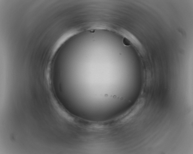 X0000114391190200910161247