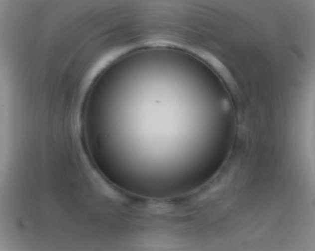 X0000114391191200910161247