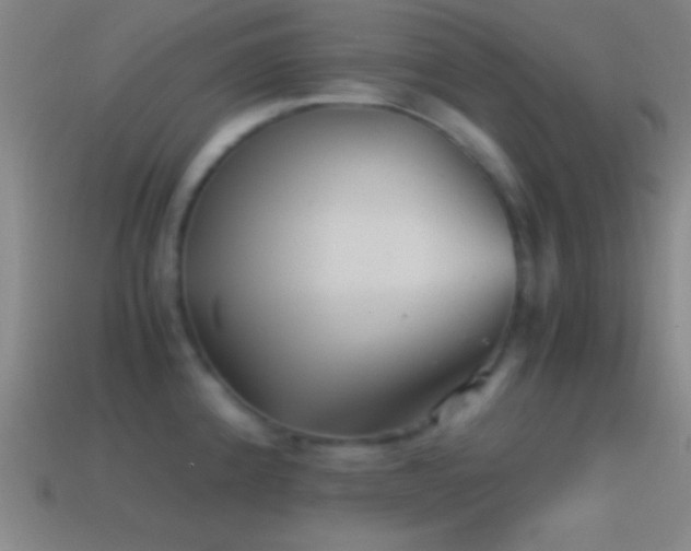 X0000114391192200910161247