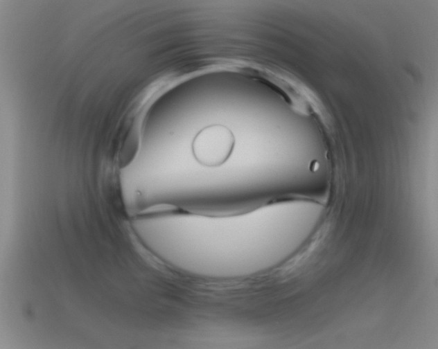 X0000114391193200910161247