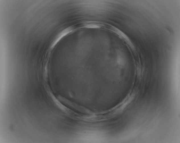 X0000114391194200910161247