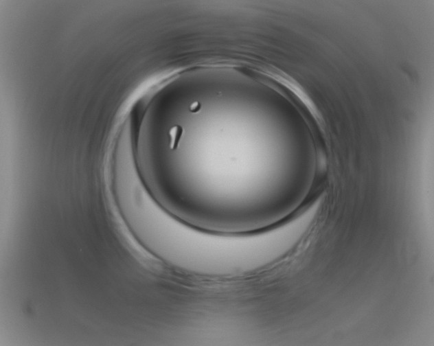 X0000114391195200910161247