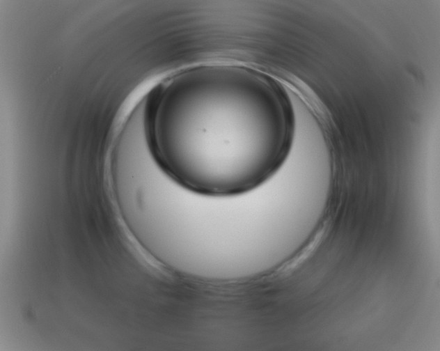 X0000114391196200910161247