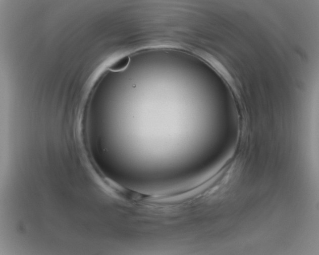 X0000114391197200910161247
