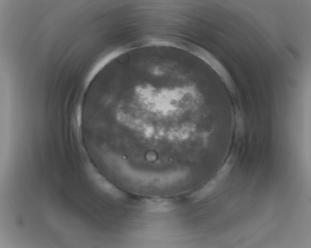 X0000114391198200910161247