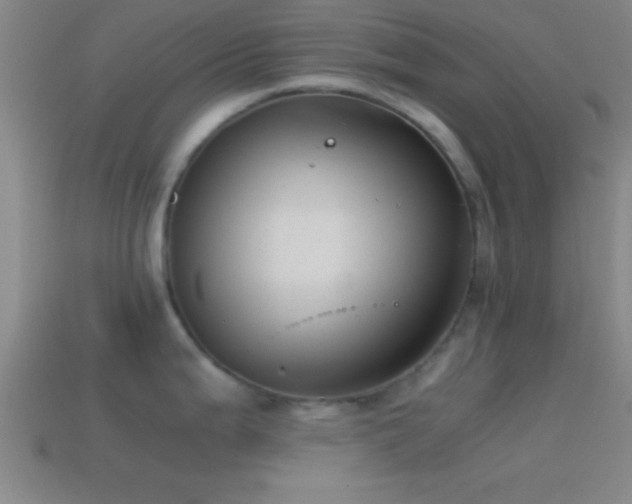 X0000114391199200910161247