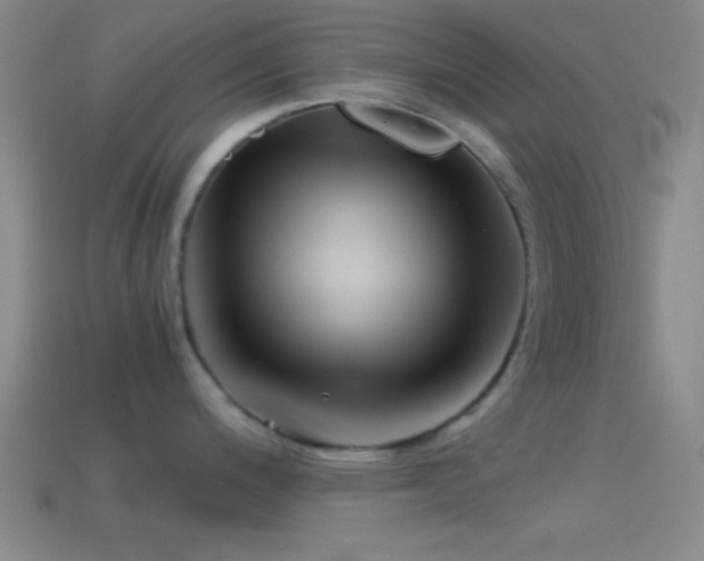 X0000114391200200910161247