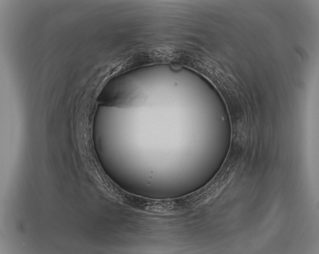 X0000114391201200910161246