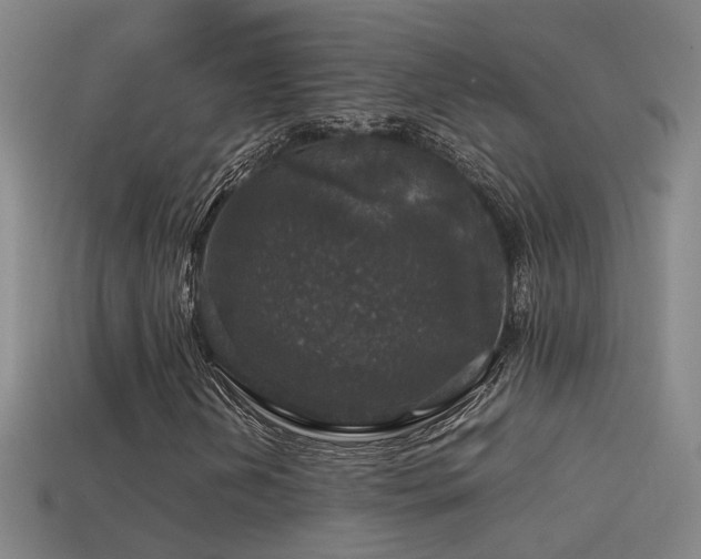 X0000114391202200910161246