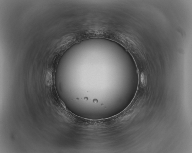 X0000114391203200910161246