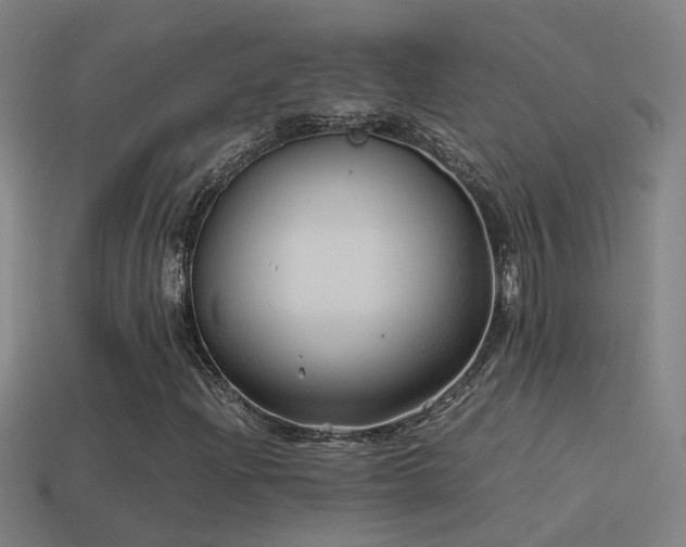 X0000114391204200910161246