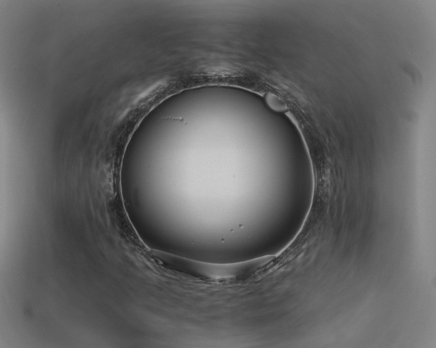 X0000114391205200910161246