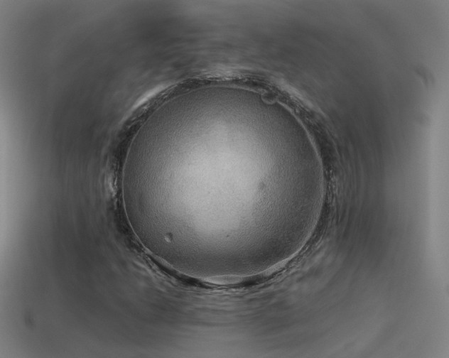 X0000114391206200910161246