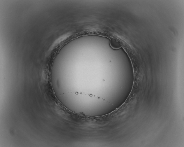 X0000114391207200910161246