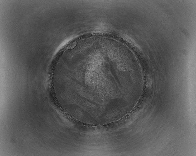 X0000114391208200910161246