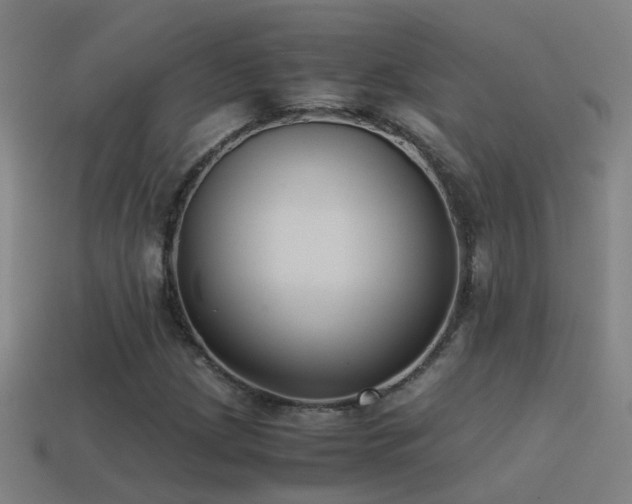 X0000114391209200910161246