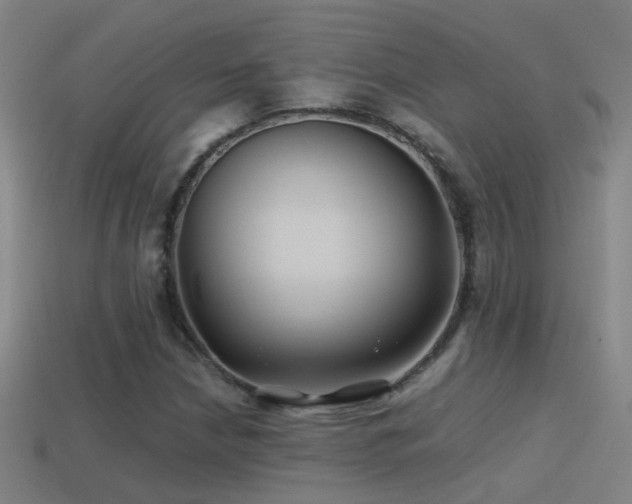 X0000114391210200910161246
