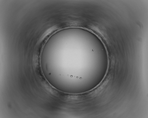 X0000114391211200910161246