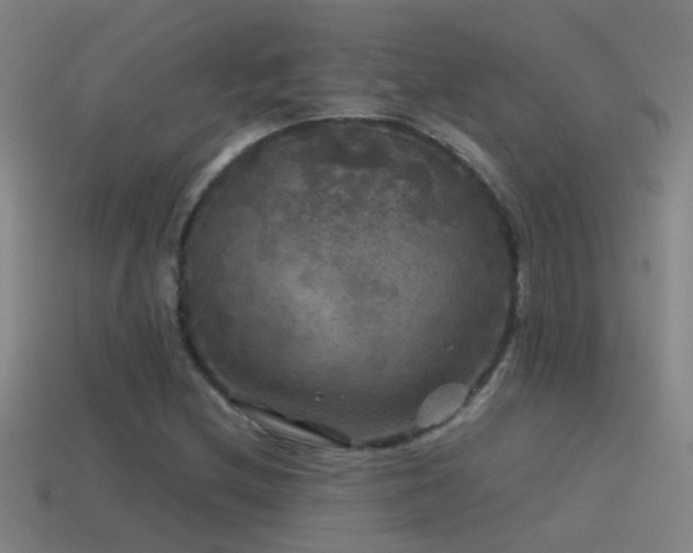 X0000114391212200910161246