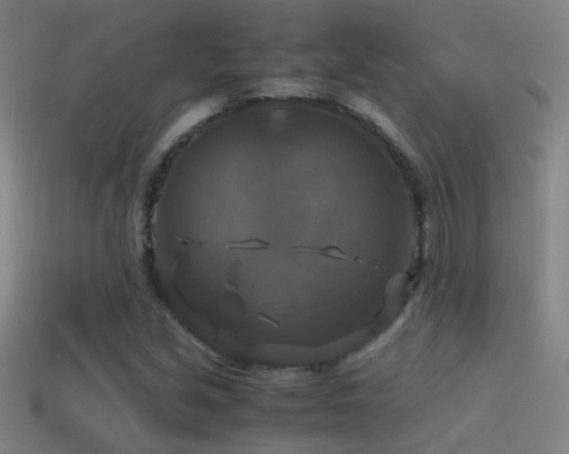 X0000114391213200910161246