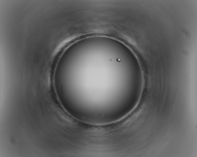 X0000114391214200910161246