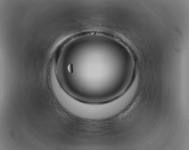 X0000114391215200910161246