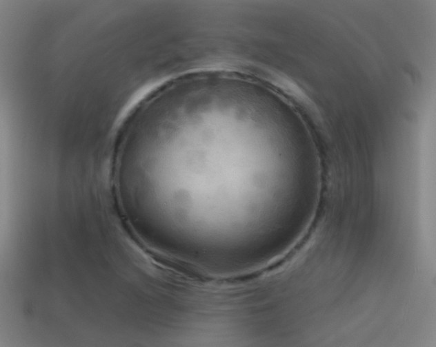 X0000114391216200910161246