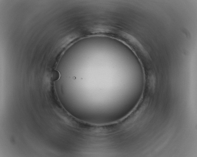 X0000114391217200910161246