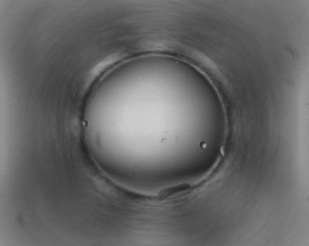 X0000114391218200910161246