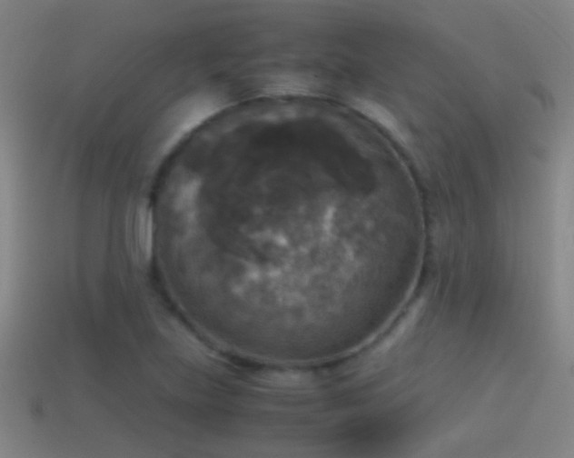 X0000114391219200910161246