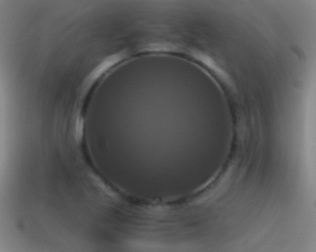 X0000114391221200910161246