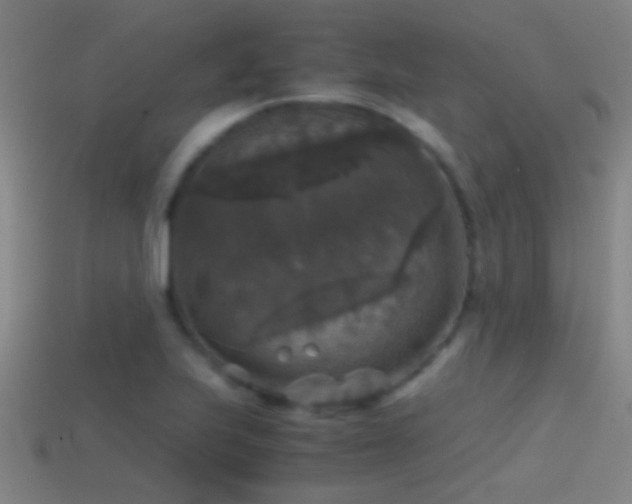 X0000114391223200910161246