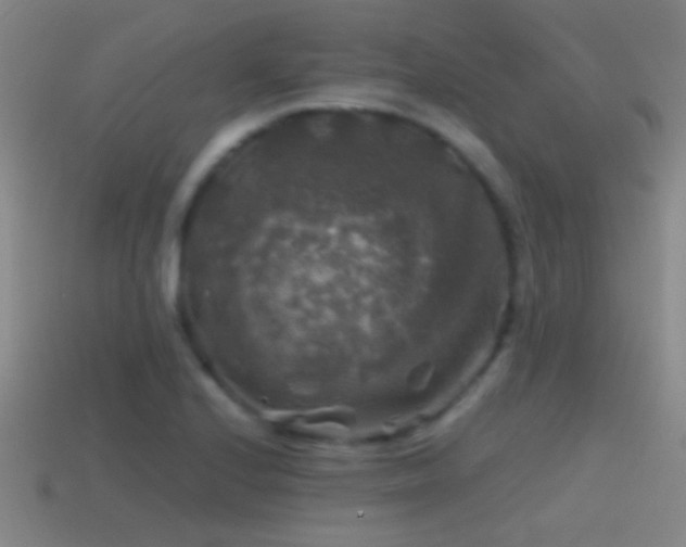 X0000114391224200910161246