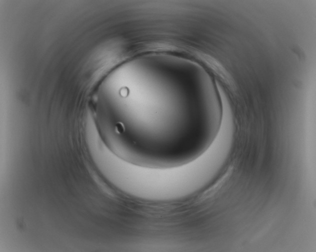 X0000114391225200910161246