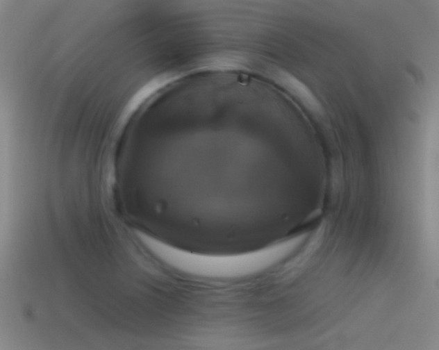 X0000114391226200910161246
