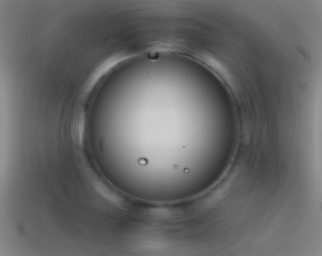 X0000114391227200910161246