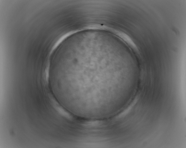 X0000114391228200910161246