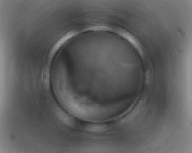 X0000114391229200910161246