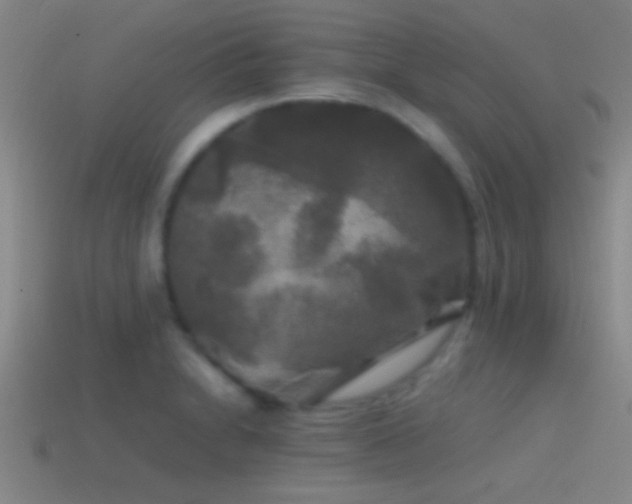 X0000114391230200910161246